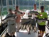 (06/28/2018) - Nice Striped Bass